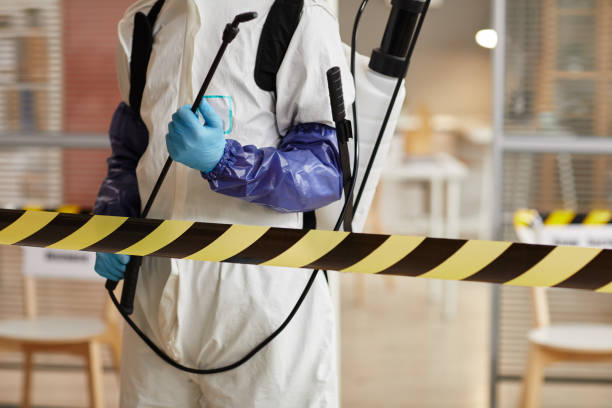 Professional Sewage Cleanup technician working in Bear Creek, FL